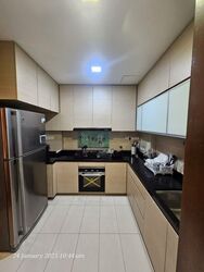 Dover Parkview (D5), Condominium #574012981